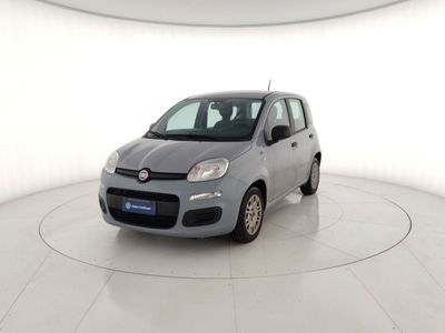 Fiat Panda Cross Cross 1.0 FireFly S&amp;S Hybrid del 2021 usata a Massa