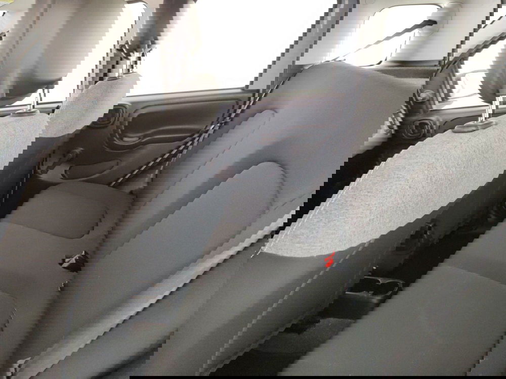 Fiat Panda Cross usata a Massa-Carrara (11)