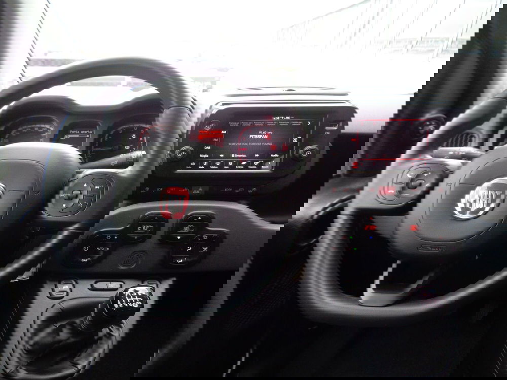 Fiat Panda Cross usata a Treviso (12)