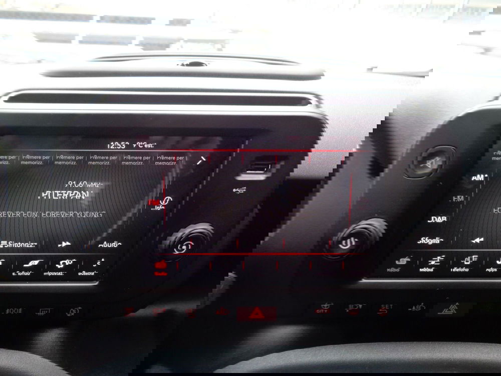 Fiat Panda Cross usata a Treviso (13)