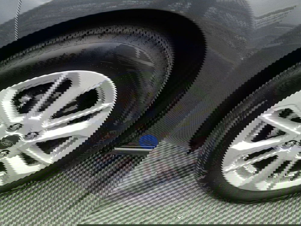 Ford Fiesta usata a Treviso (6)