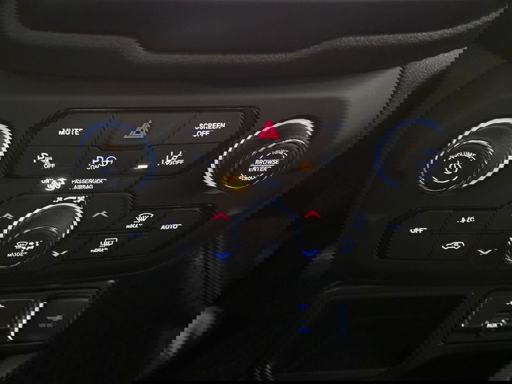 Jeep Renegade usata a Cremona (18)