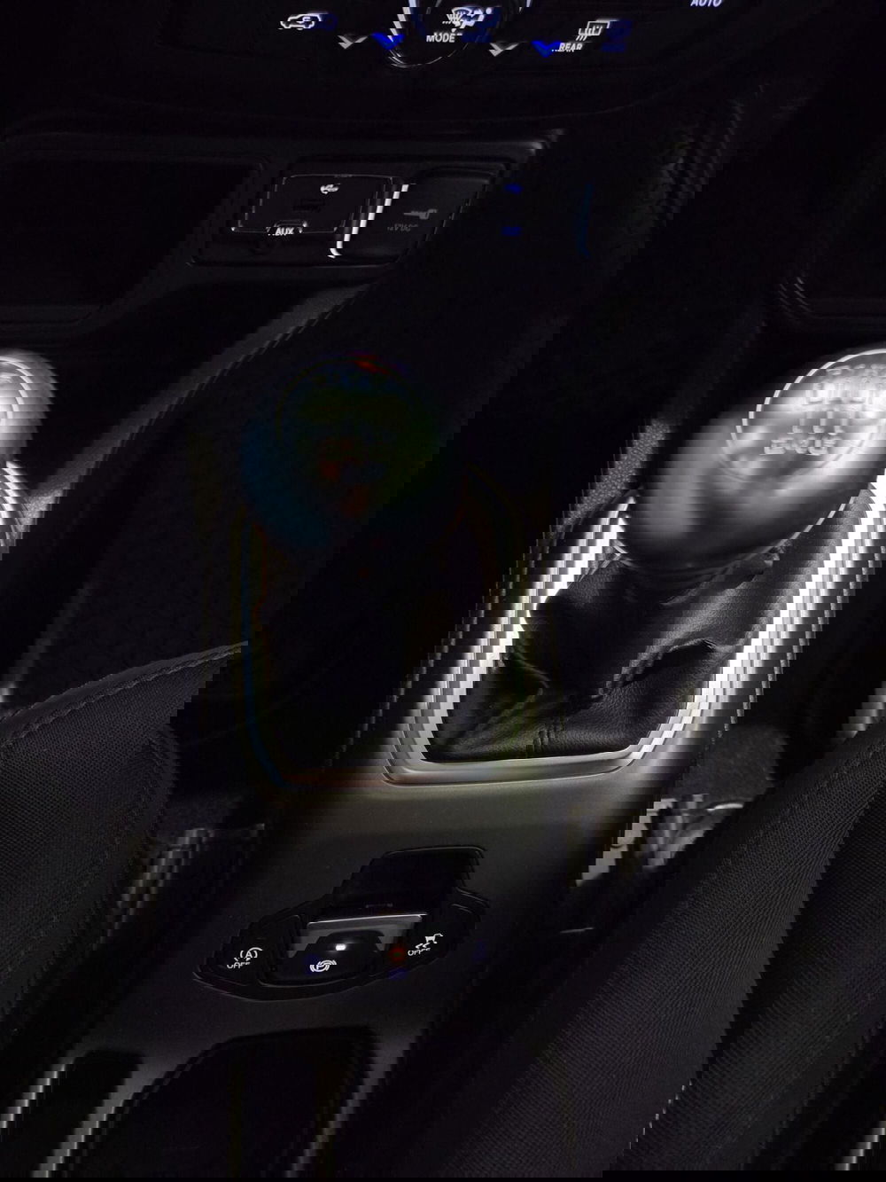 Jeep Renegade usata a Cremona (20)