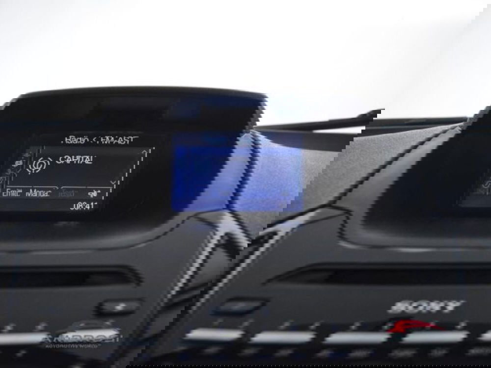 Ford EcoSport usata a Perugia (15)