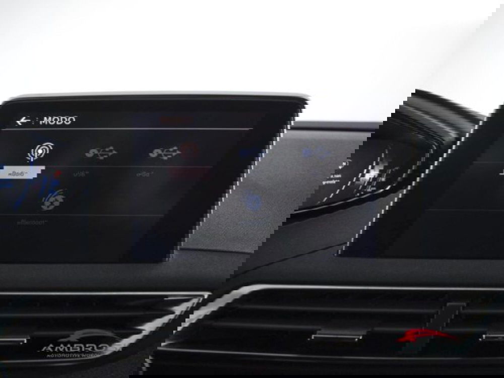 Peugeot 3008 usata a Perugia (15)