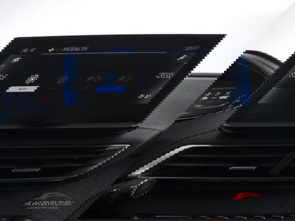 Peugeot 3008 usata a Perugia (15)