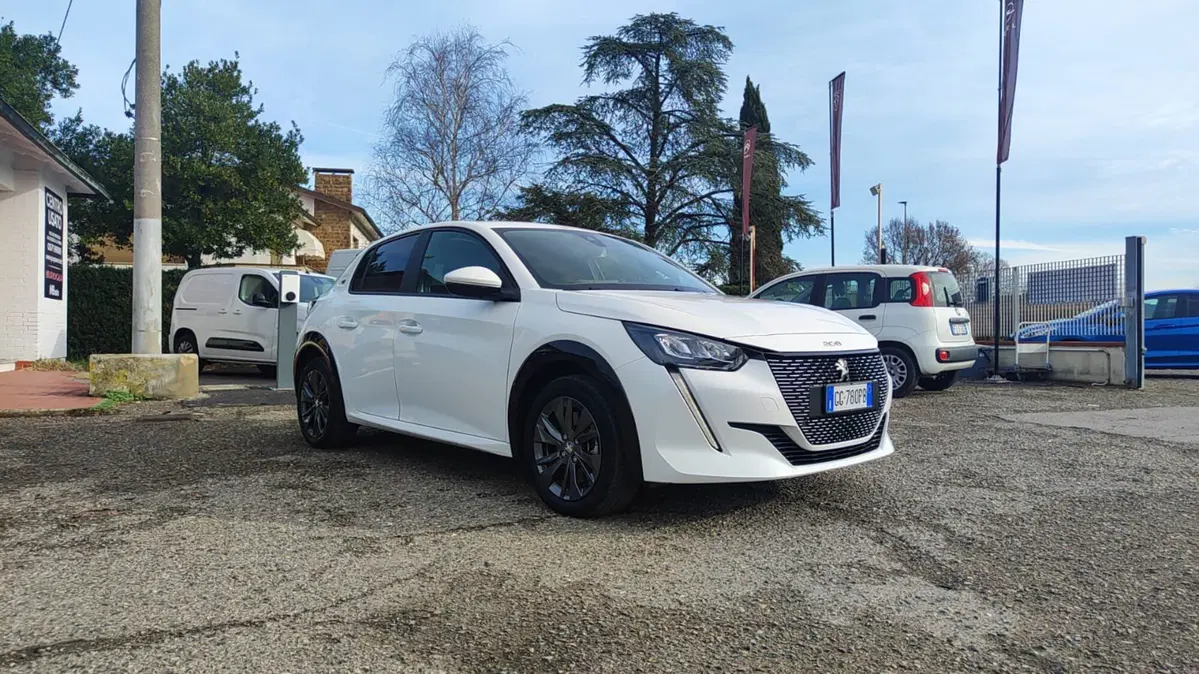 Peugeot 208 usata a Firenze (13)