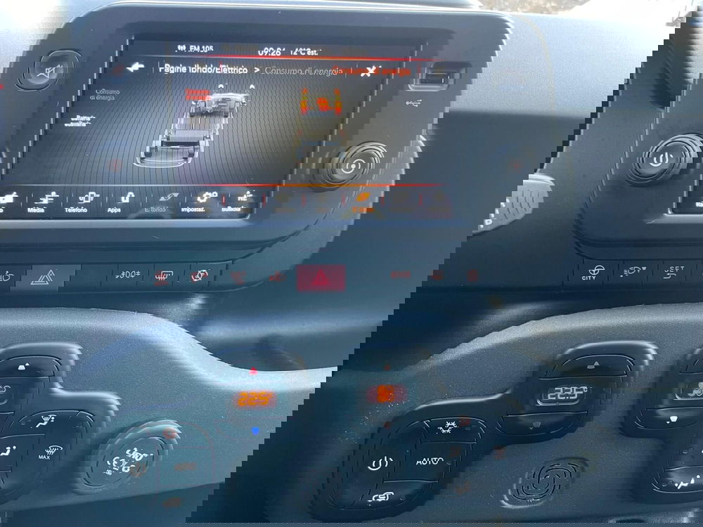 Fiat Panda Cross usata a Ancona (13)