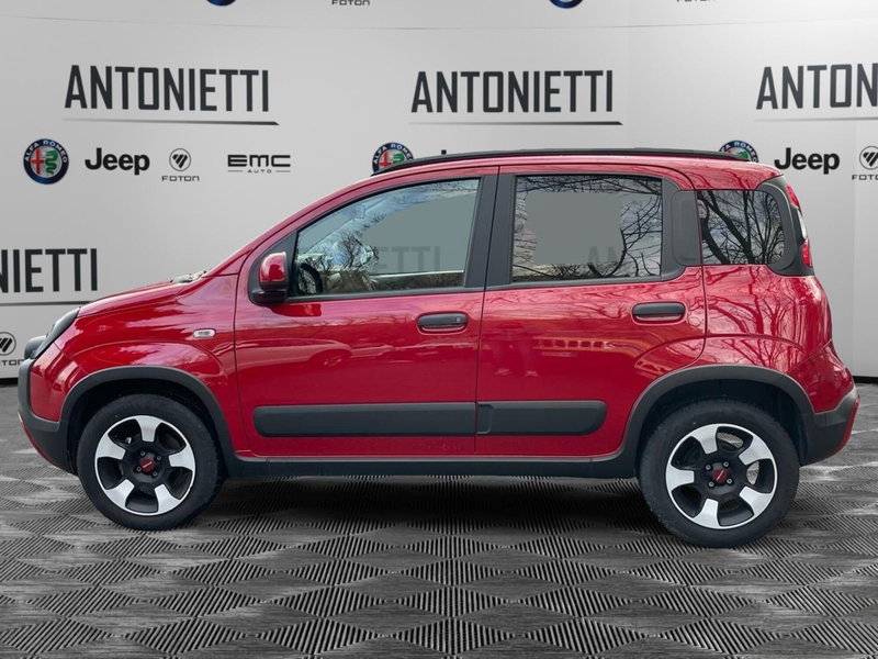 Fiat Panda Cross usata a Ancona (8)