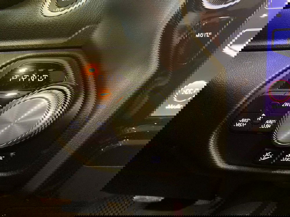 Ram Ram Pick-up usata a Monza e Brianza (13)