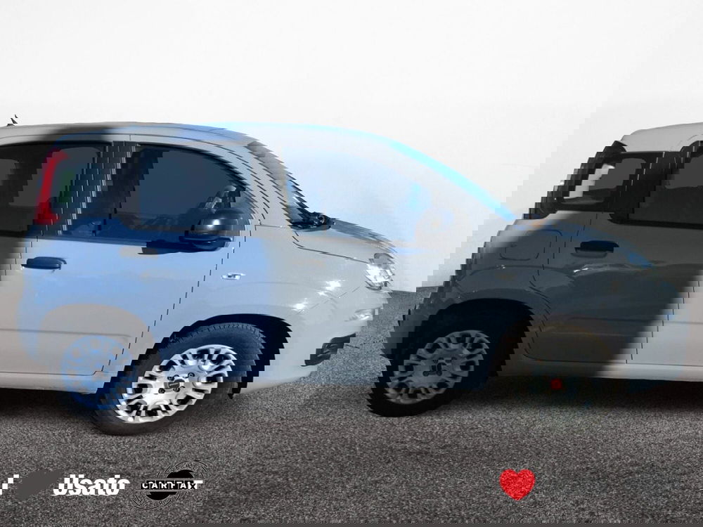 Fiat Panda usata a Roma (4)