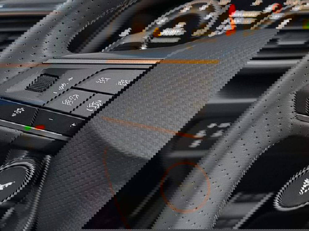 Cupra Formentor usata a Vicenza (19)