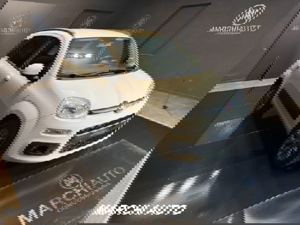 Fiat Panda usata a Perugia (3)