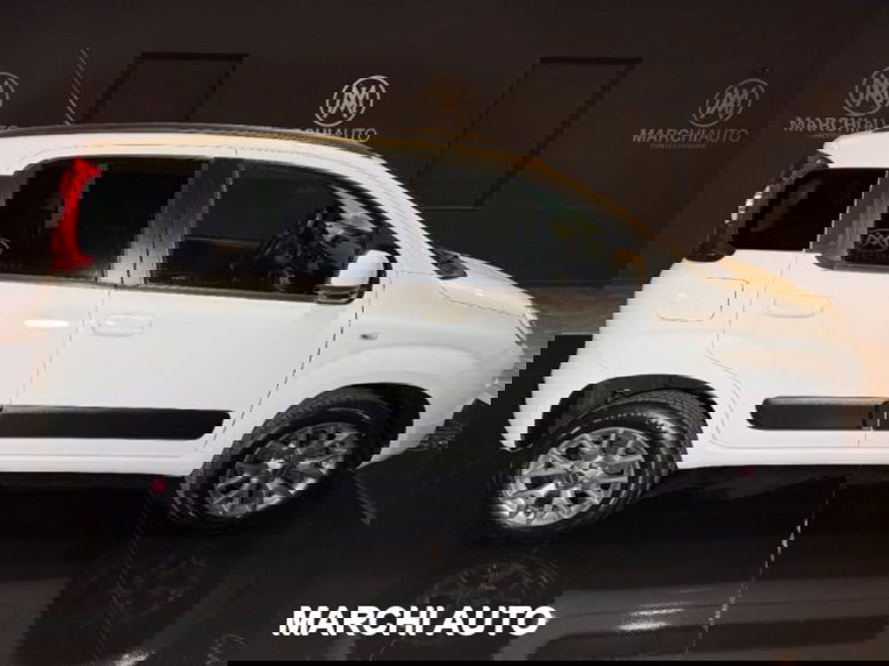 Fiat Panda usata a Perugia (4)