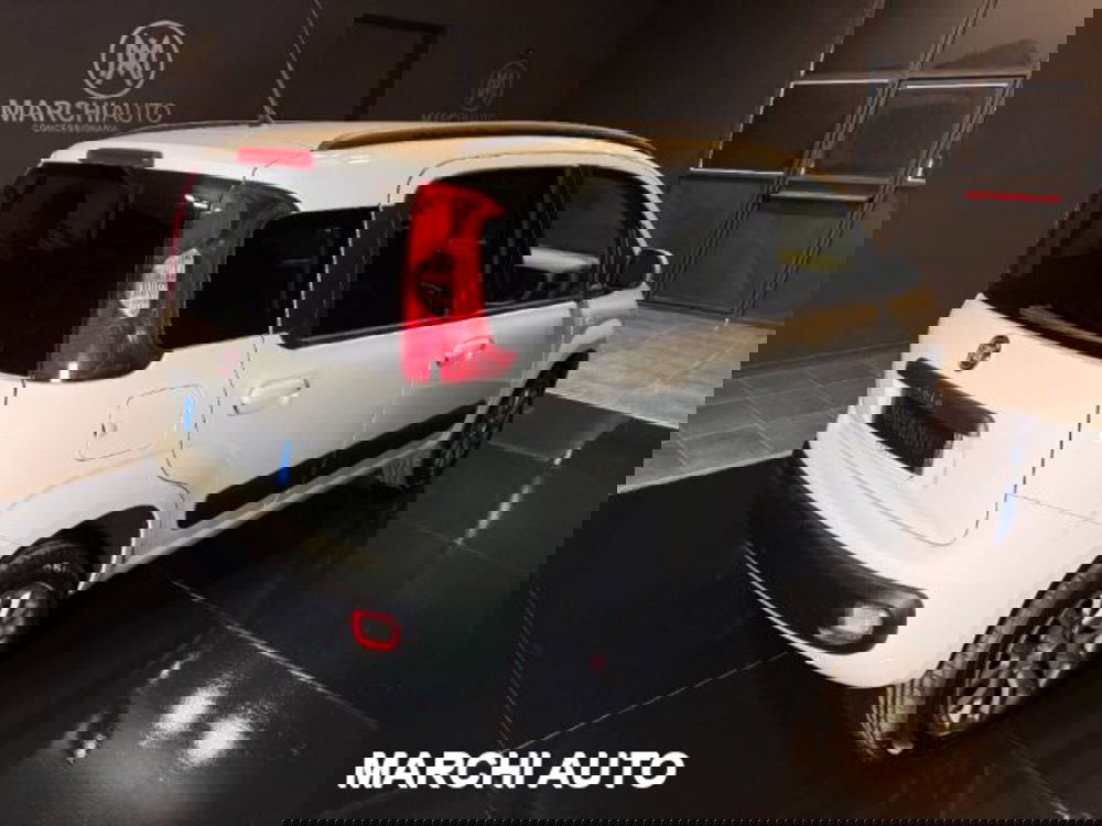 Fiat Panda usata a Perugia (5)