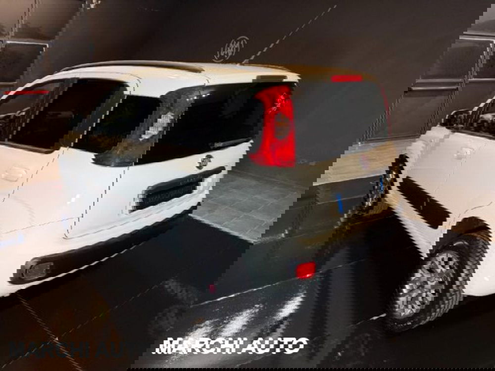 Fiat Panda usata a Perugia (7)