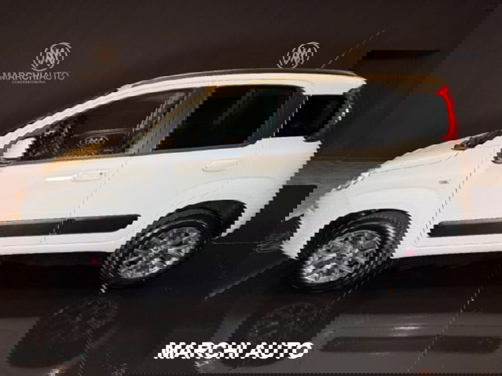 Fiat Panda usata a Perugia (8)