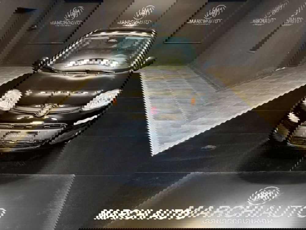 Fiat Panda nuova a Perugia (2)