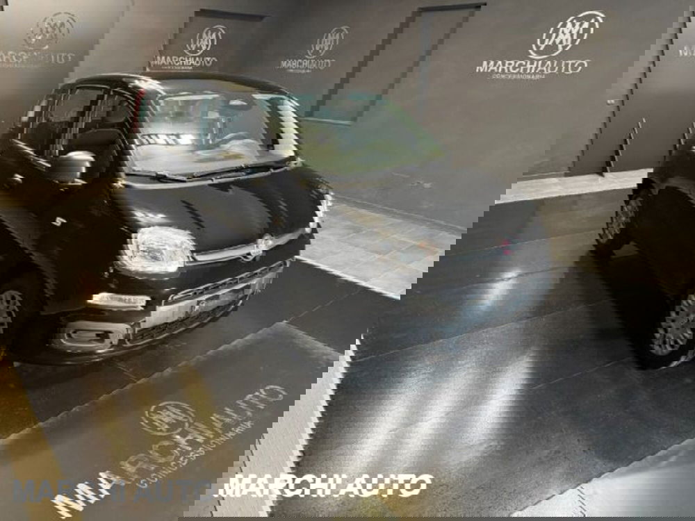 Fiat Panda nuova a Perugia (3)