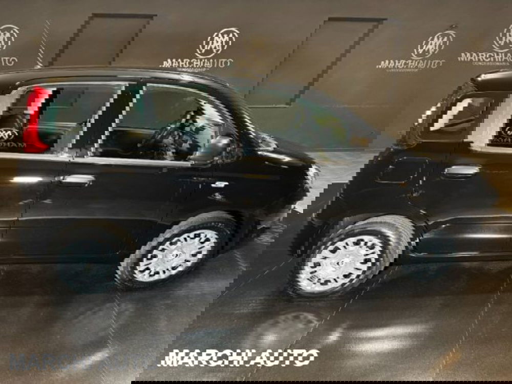 Fiat Panda nuova a Perugia (8)