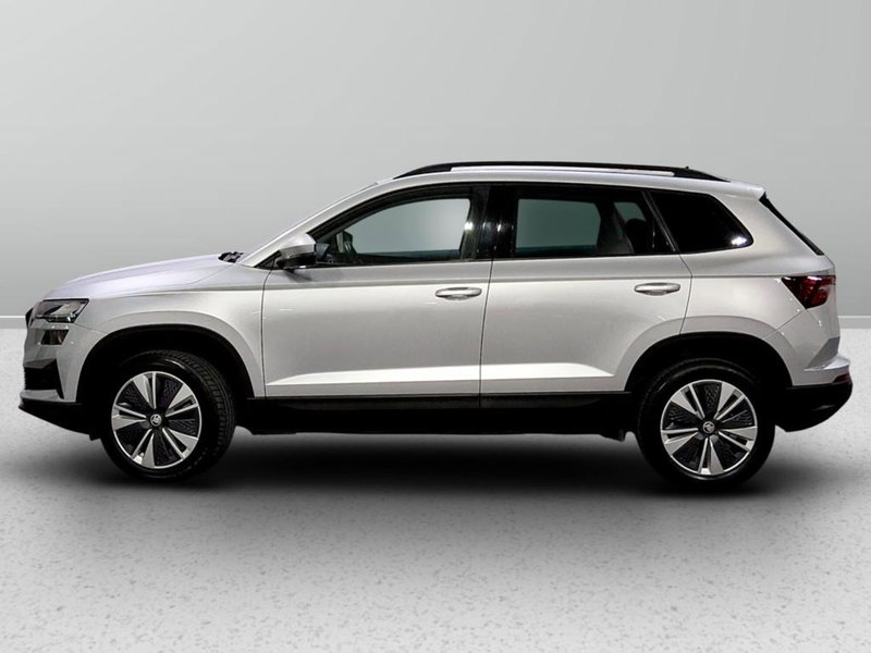 Skoda Karoq usata a Padova (2)