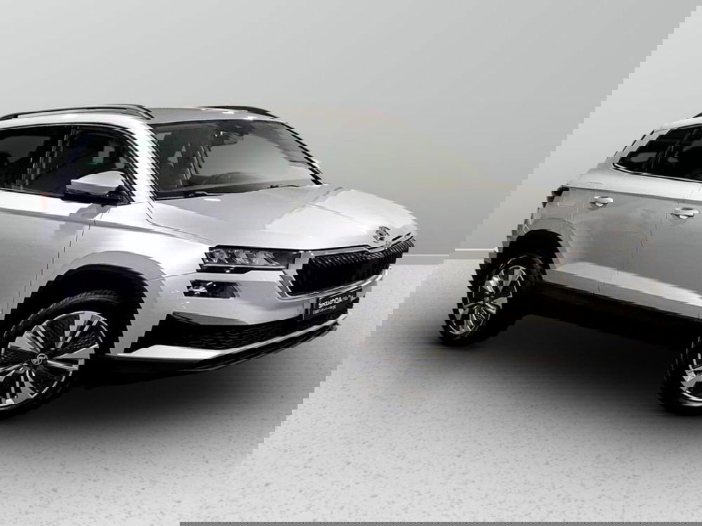 Skoda Karoq usata a Padova (6)