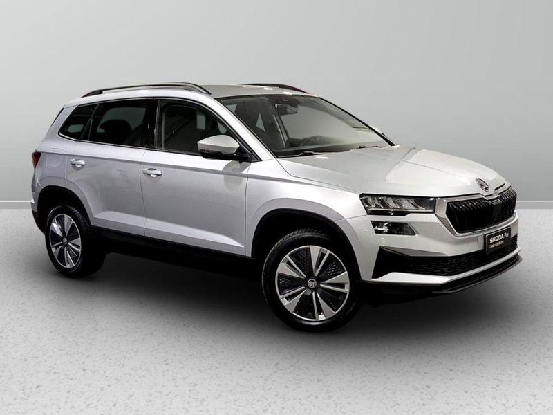 Skoda Karoq usata a Padova (6)