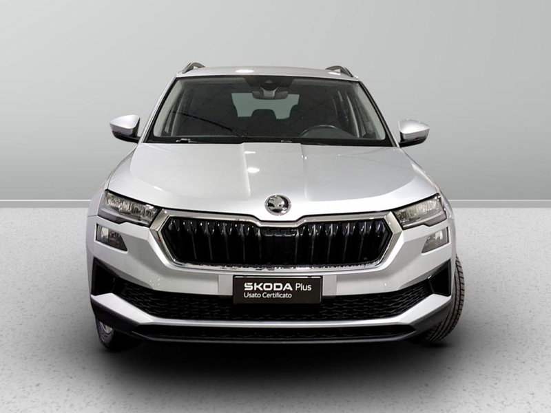 Skoda Karoq usata a Padova (7)