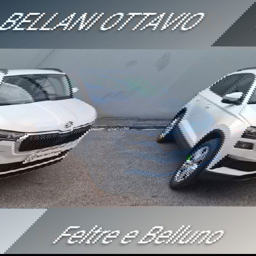 Skoda Karoq usata a Belluno