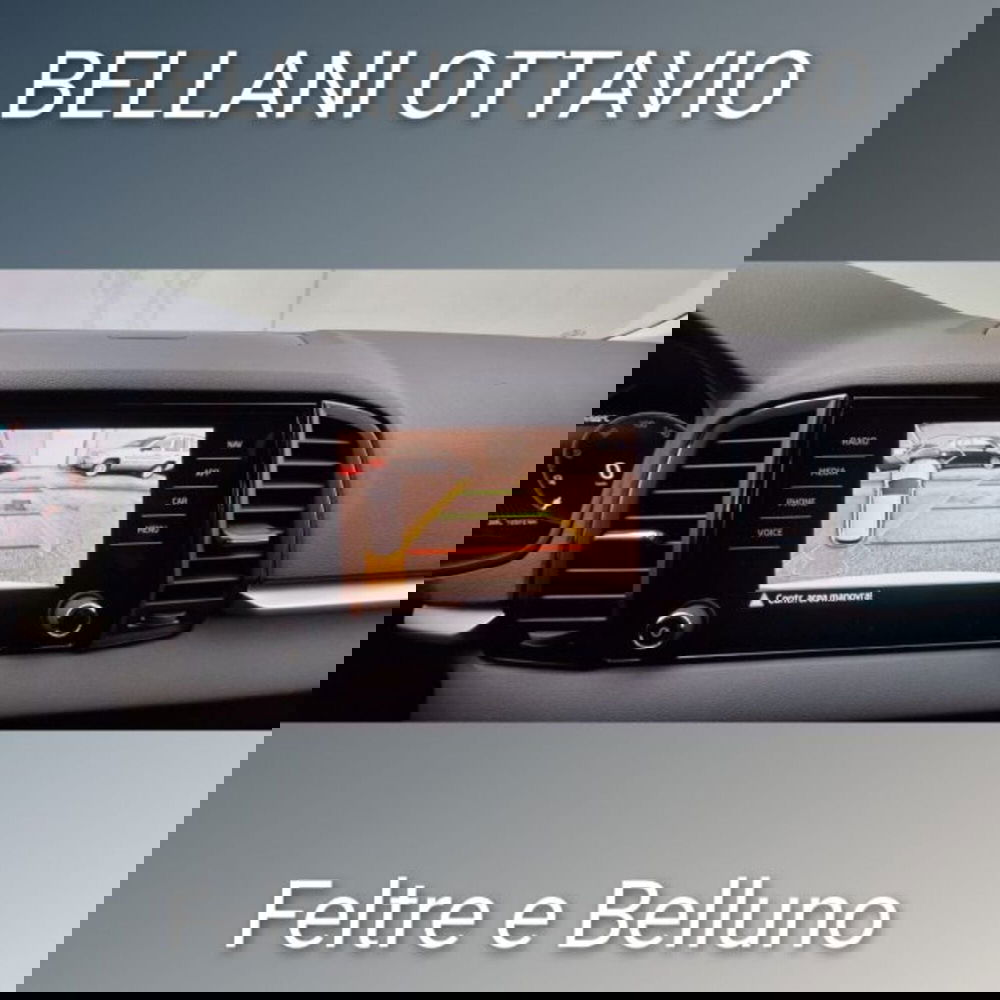 Skoda Karoq usata a Belluno (10)