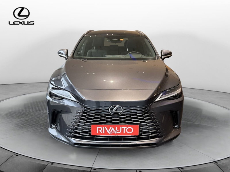 Lexus RX usata a Como (4)