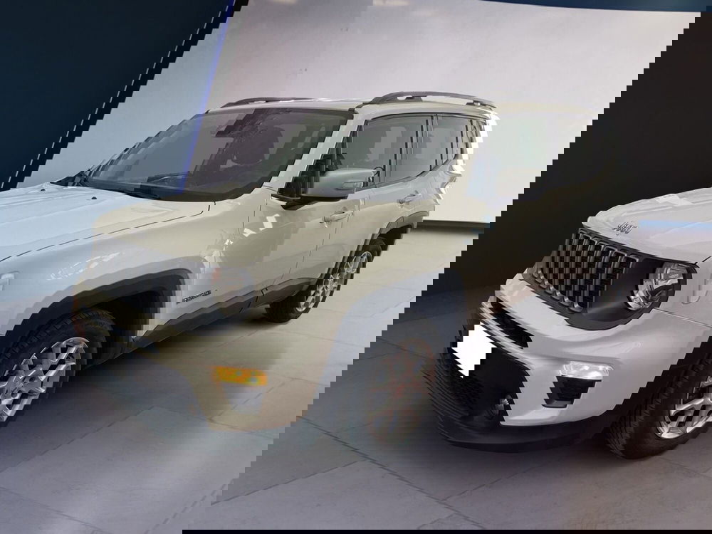 Jeep Renegade usata a Torino (2)