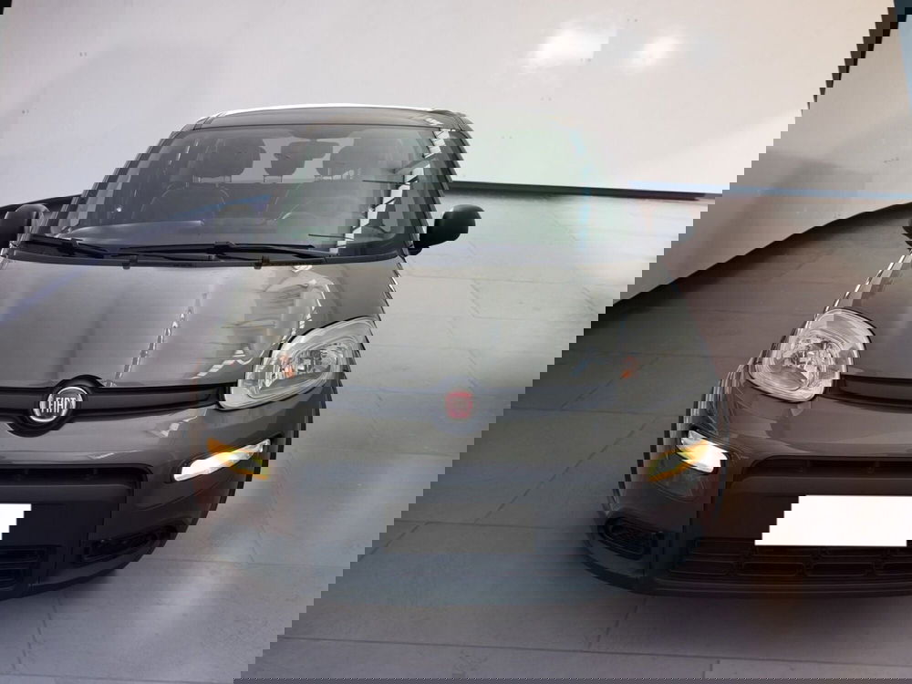 Fiat Panda usata a Torino