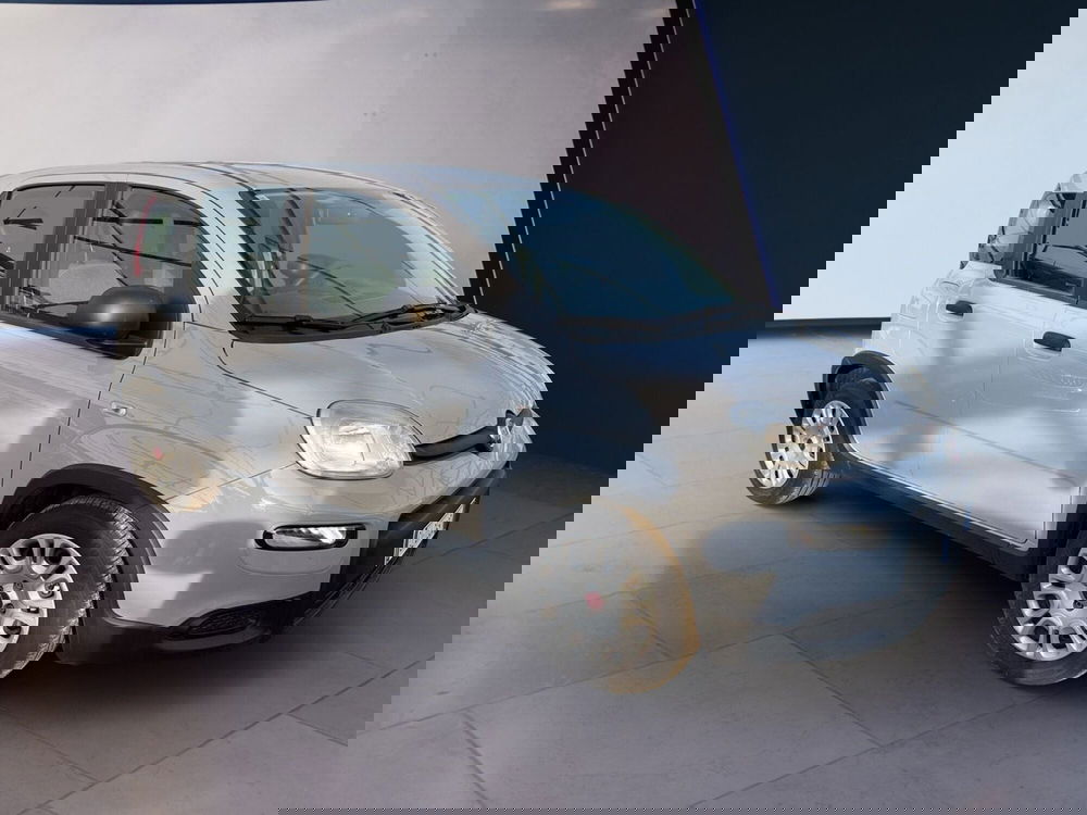 Fiat Panda usata a Torino (3)