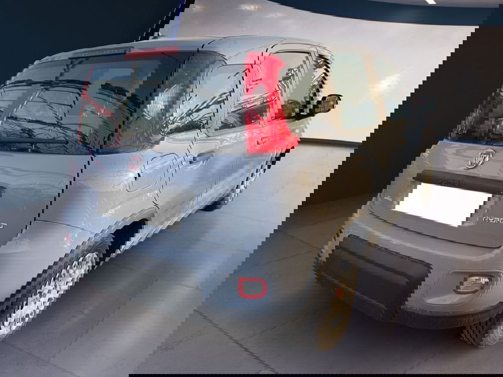 Fiat Panda usata a Torino (4)