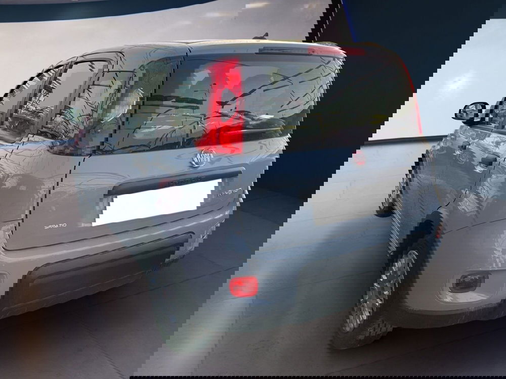 Fiat Panda usata a Torino (6)