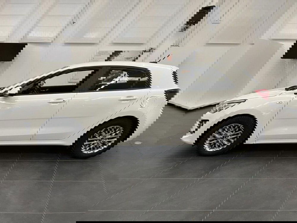 Kia Rio usata a Alessandria (8)