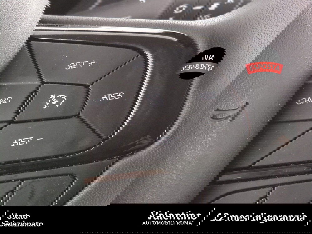 Fiat Panda Cross usata a Roma (14)