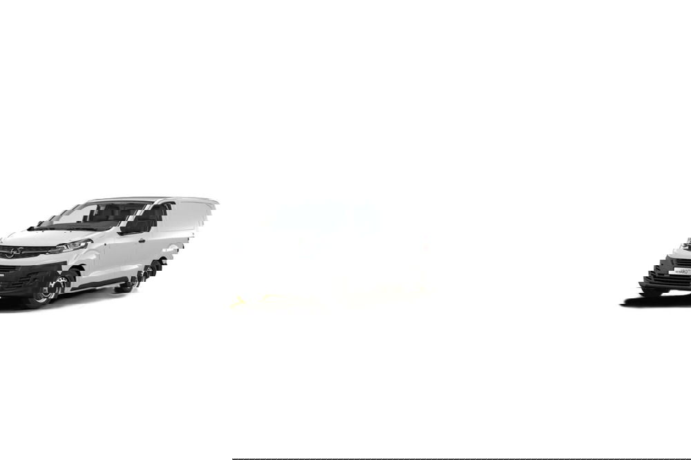 Opel Vivaro Furgone usata a Teramo