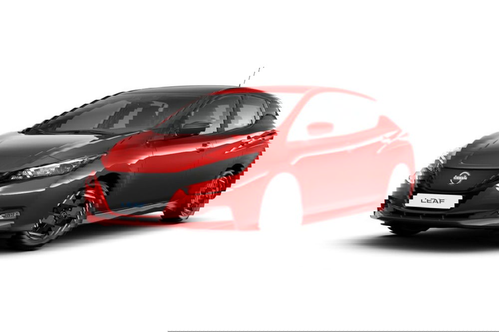 Nissan Leaf usata a Teramo