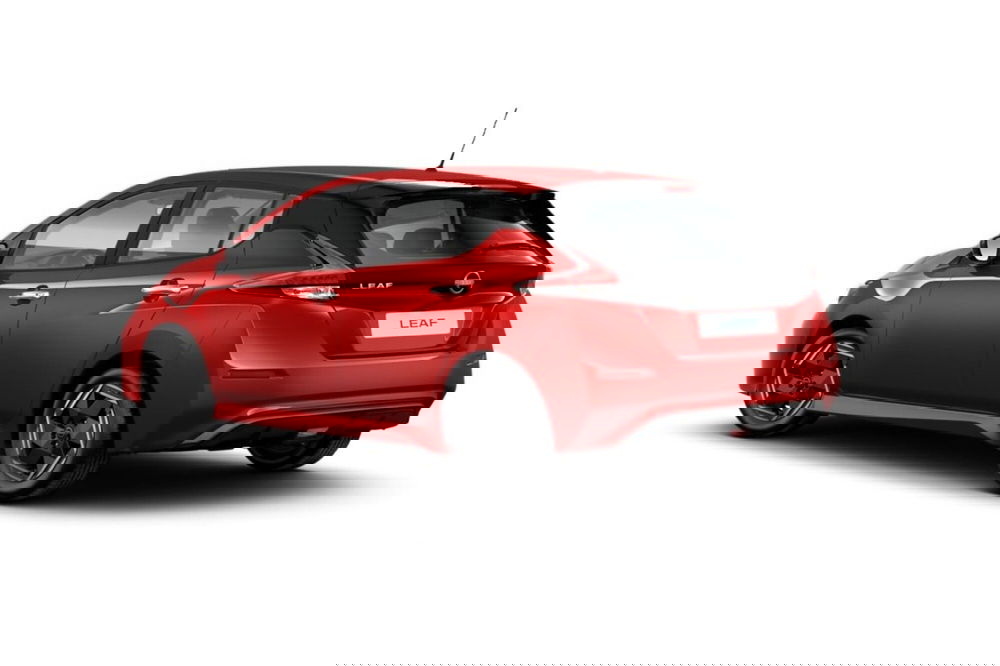 Nissan Leaf usata a Teramo (2)