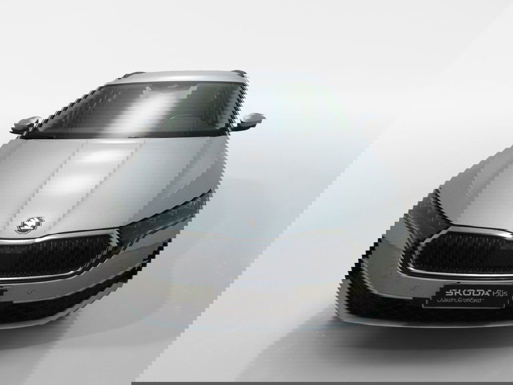 Skoda Octavia Station Wagon usata a Torino (2)