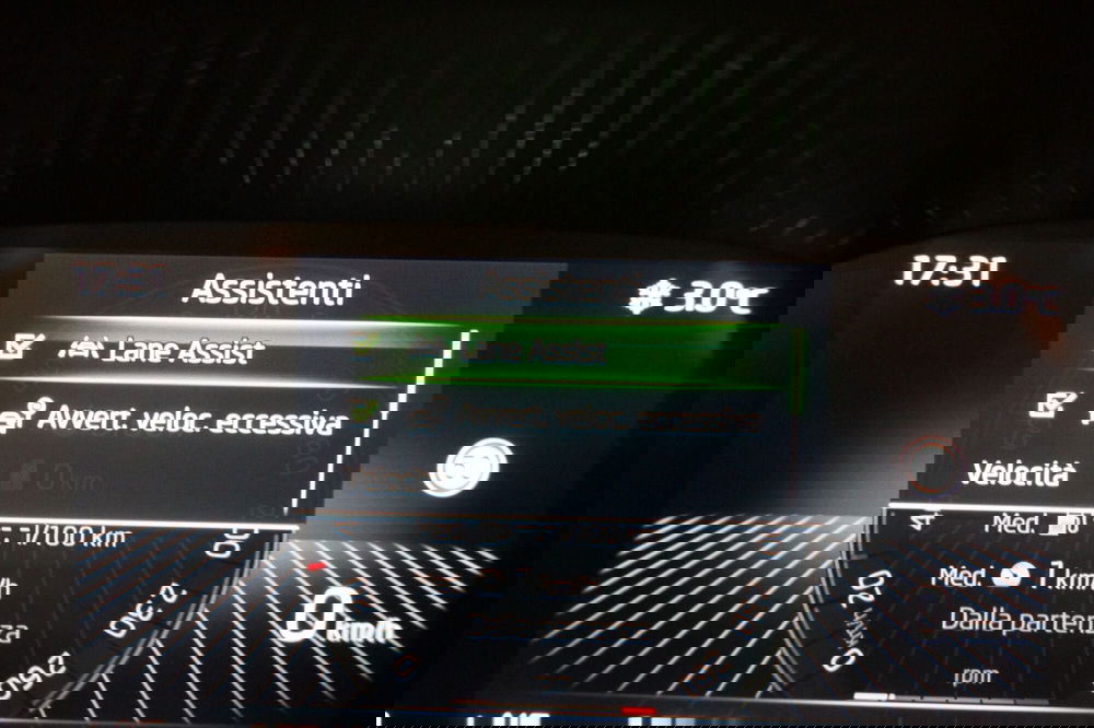 Skoda Fabia usata a Torino (16)