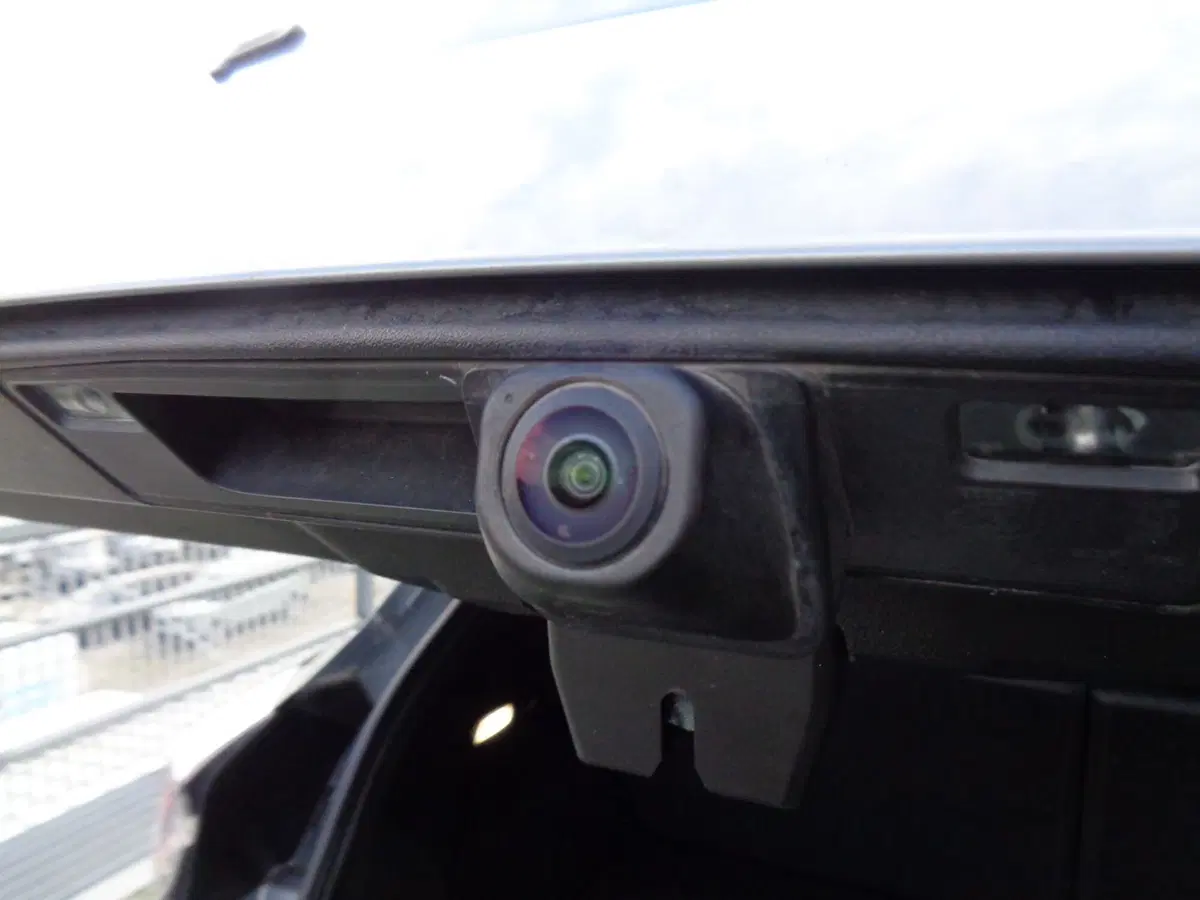 Ford Puma usata a Treviso (19)
