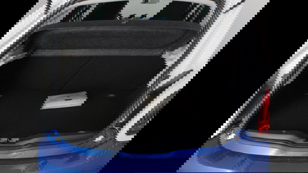 smart forfour usata a Palermo (10)