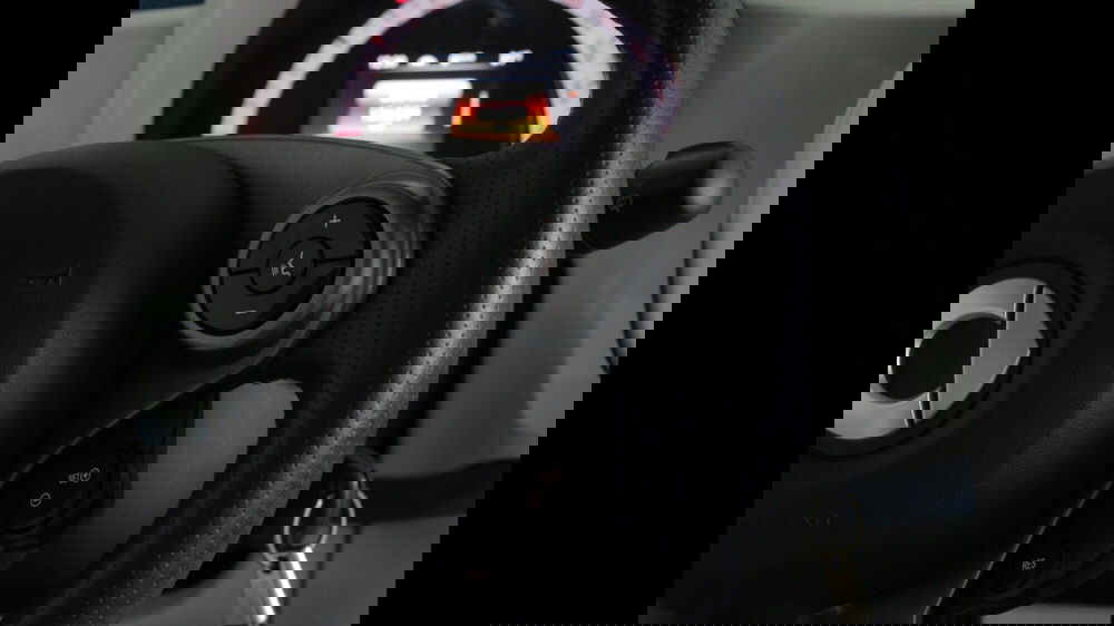 smart forfour usata a Palermo (15)