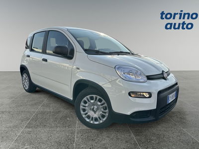 Fiat Panda 1.0 FireFly S&amp;S Hybrid City Cross nuova a Torino