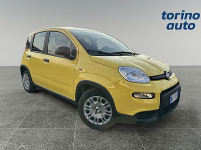 Fiat Panda 1.0 FireFly S&amp;S Hybrid City Cross nuova a Torino