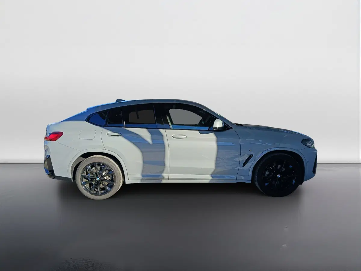 BMW X4 usata a Ascoli Piceno (3)