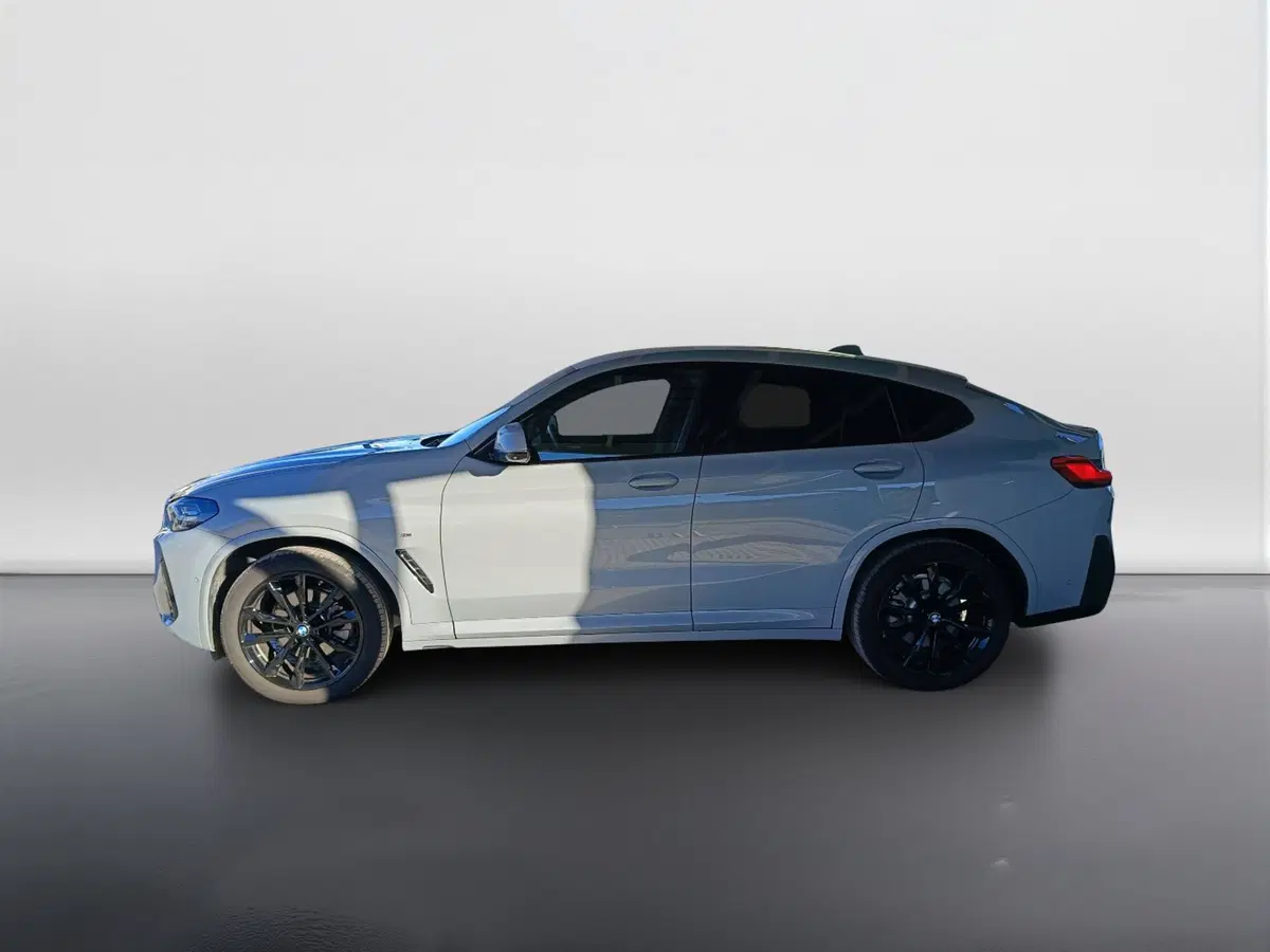 BMW X4 usata a Ascoli Piceno (6)